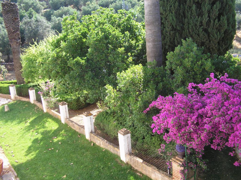 Finca La Favorita Constantina Exterior foto