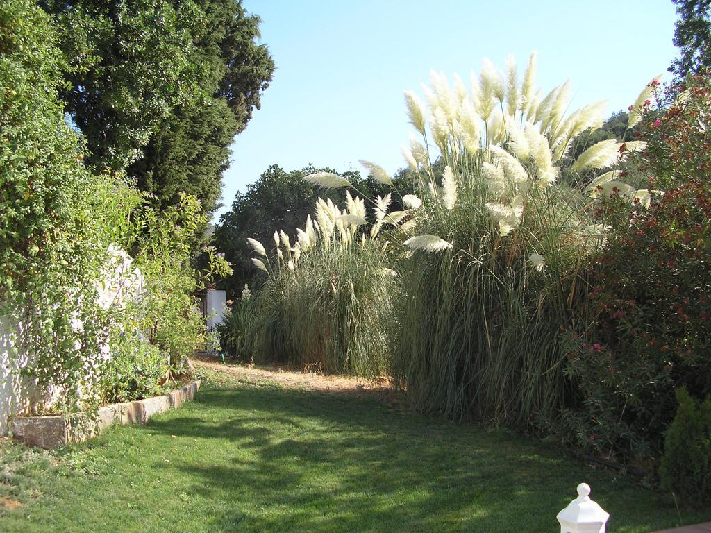 Finca La Favorita Constantina Exterior foto